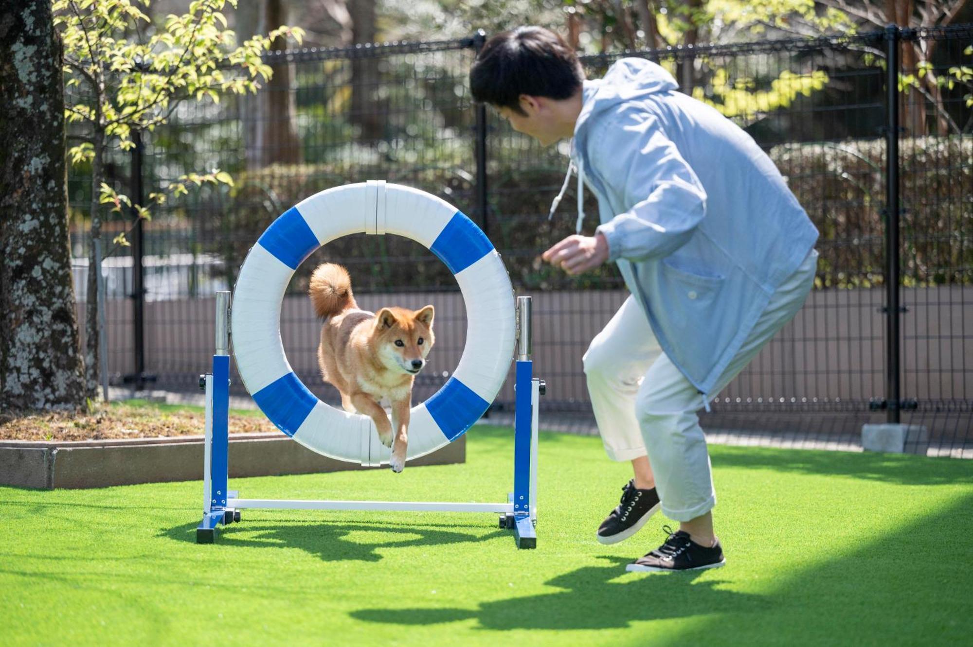 Izumigo Lake Hamana Dog Paradise Hotel Hamamatsu Exterior foto