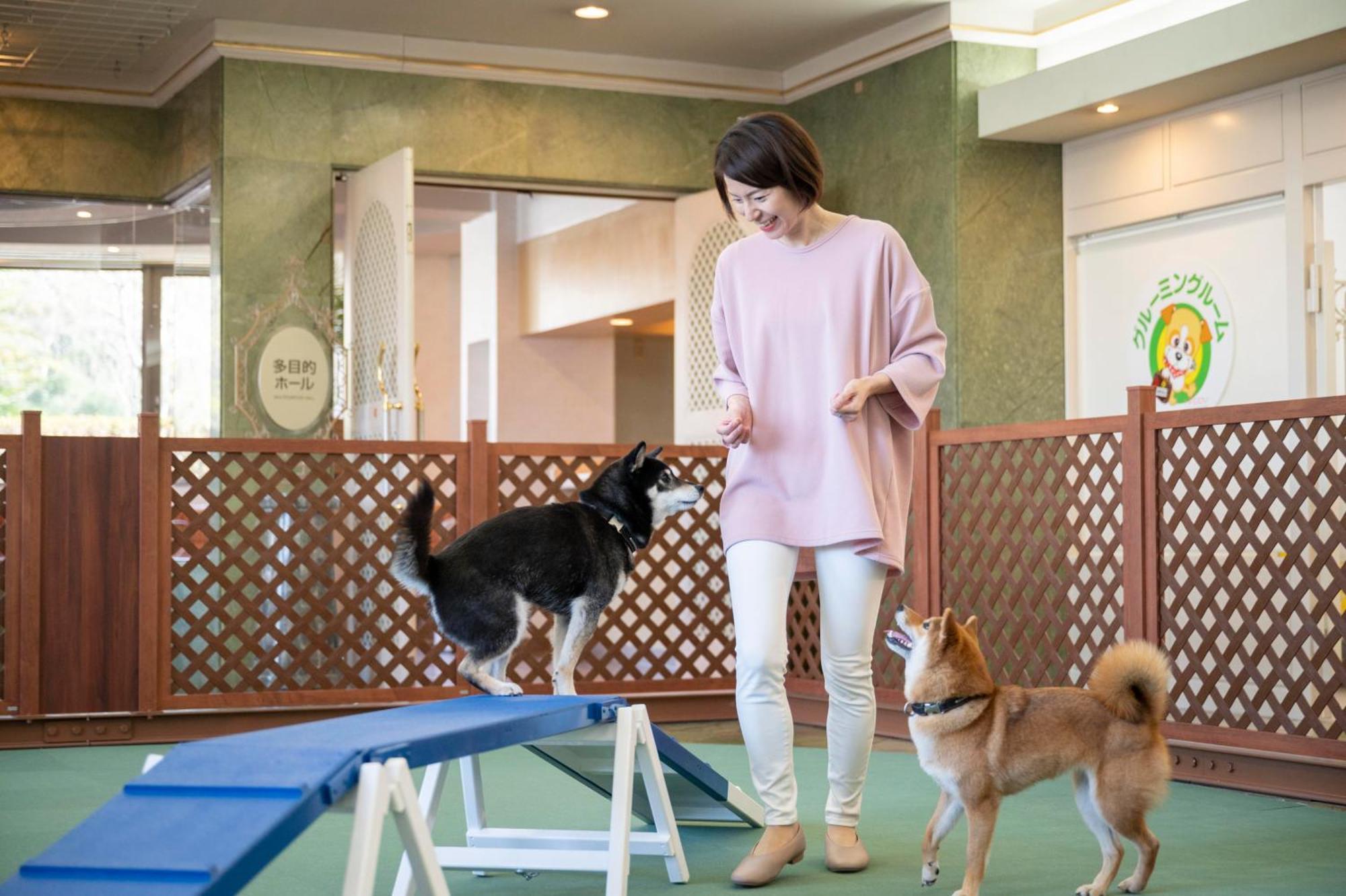 Izumigo Lake Hamana Dog Paradise Hotel Hamamatsu Exterior foto